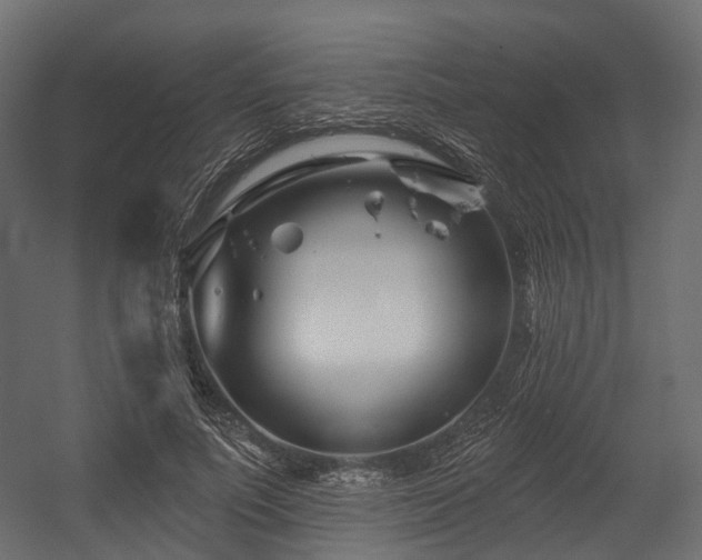 X0000054420691200507291249