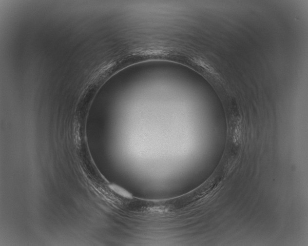 X0000054420692200507291249