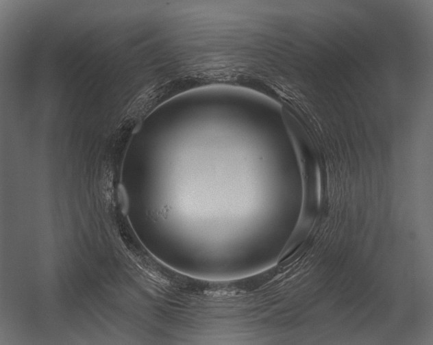 X0000054420693200507291249