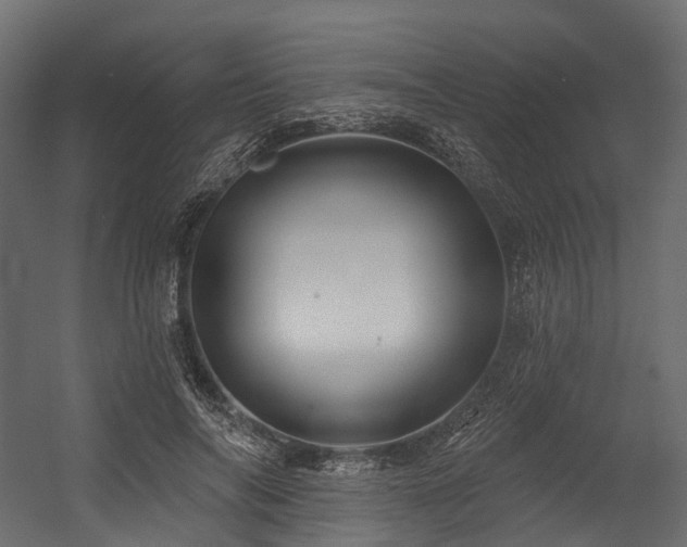 X0000054420694200507291249