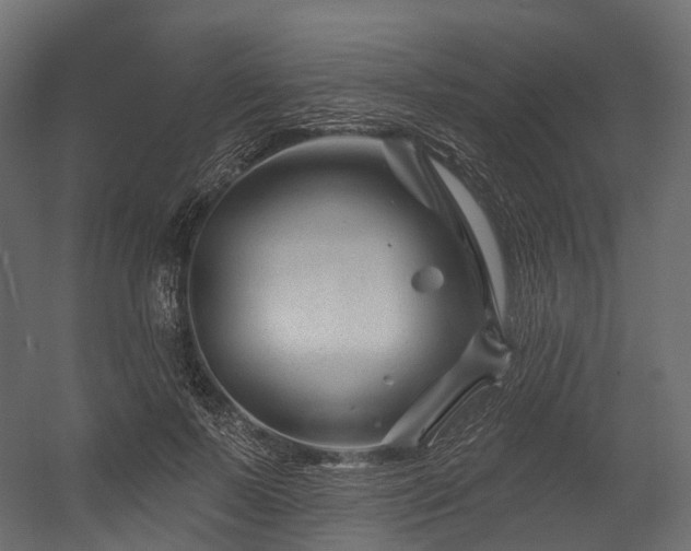 X0000054420695200507291249