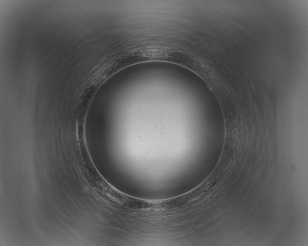 X0000054420696200507291249