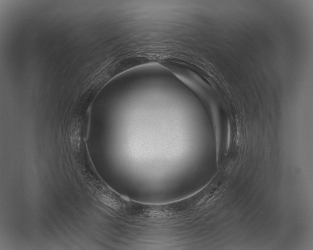 X0000054420697200507291249