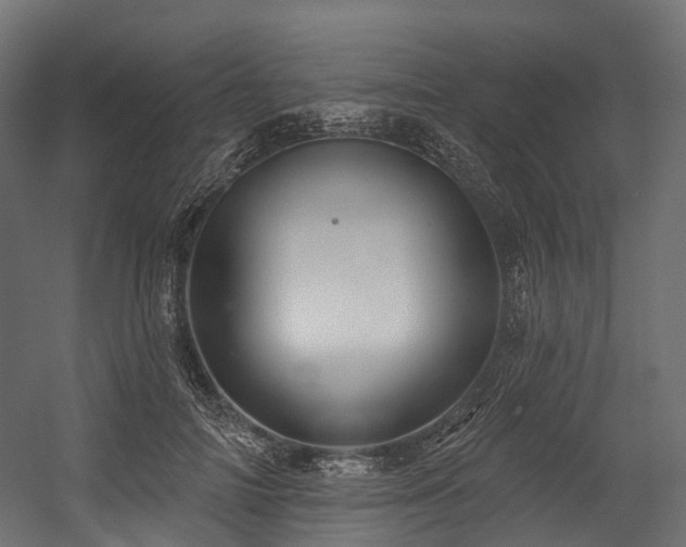 X0000054420698200507291249