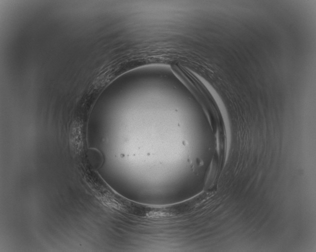 X0000054420699200507291249