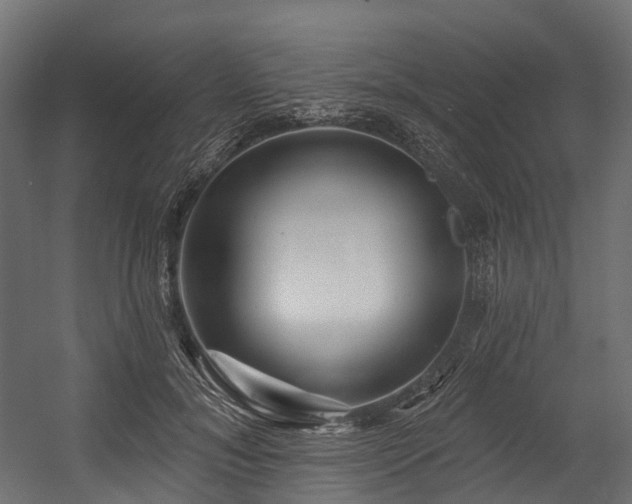 X0000054420700200507291249