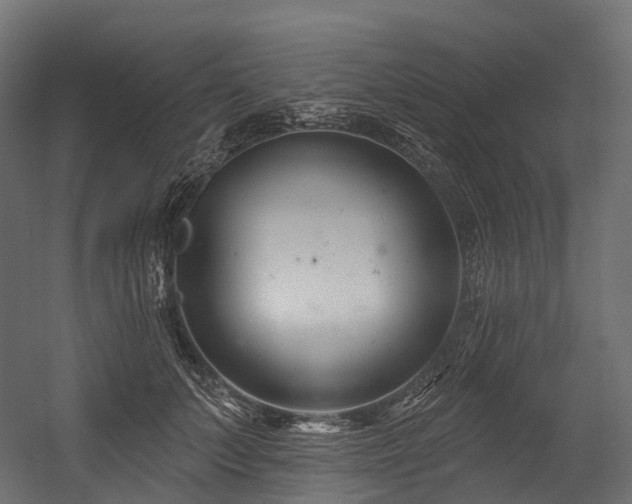 X0000054420703200507291249