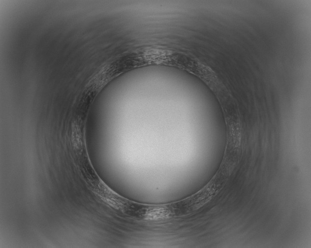 X0000054420705200507291249