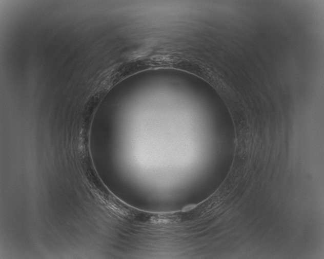 X0000054420706200507291249