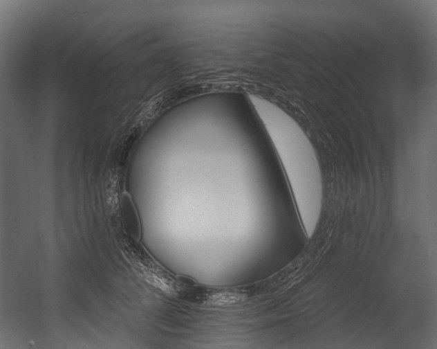 X0000054420708200507291249