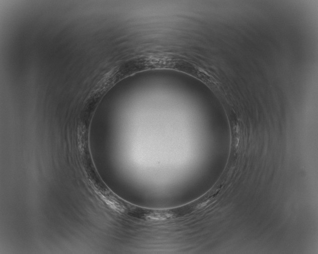 X0000054420712200507291249