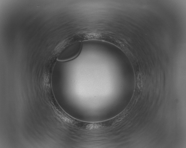 X0000054420714200507291249