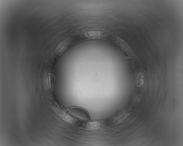 X0000054420717200507291249