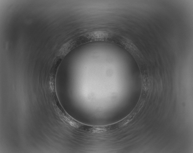 X0000054420718200507291249