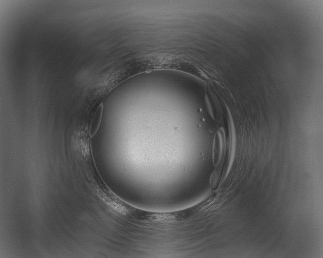 X0000054420719200507291249