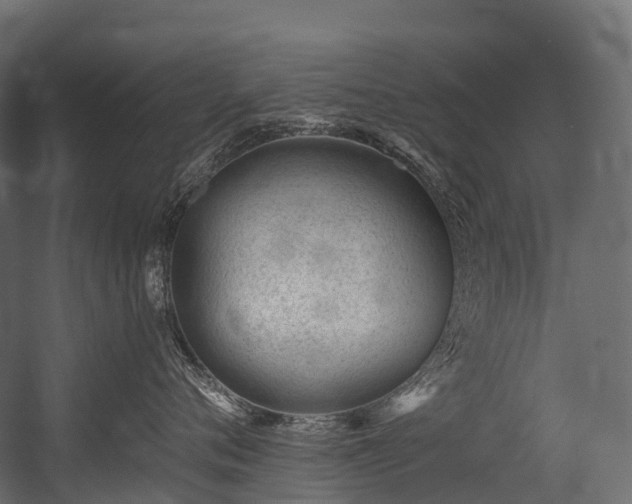 X0000054420720200507291249