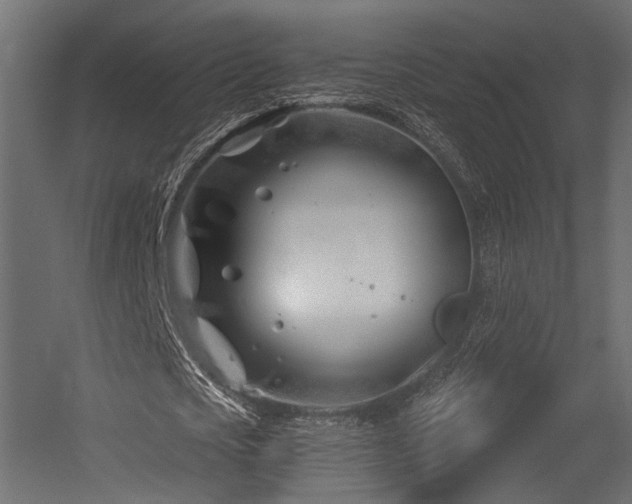 X0000054420721200507291248