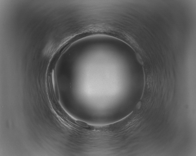 X0000054420722200507291248