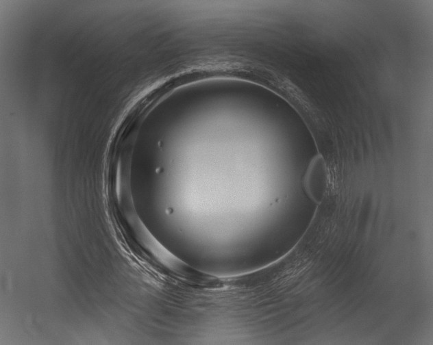 X0000054420724200507291248