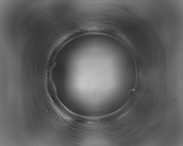 X0000054420725200507291248