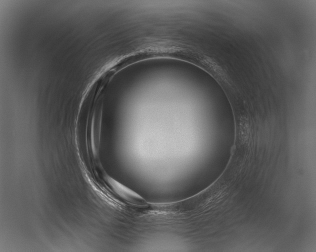 X0000054420726200507291248