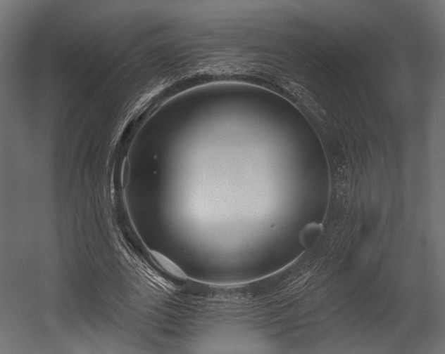 X0000054420727200507291248