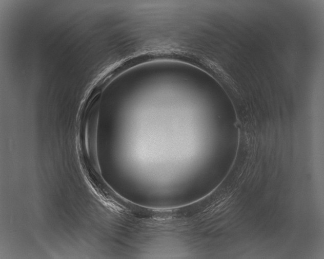 X0000054420728200507291248