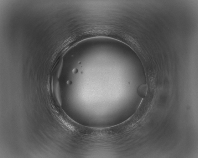 X0000054420729200507291248