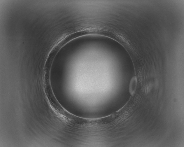 X0000054420730200507291248