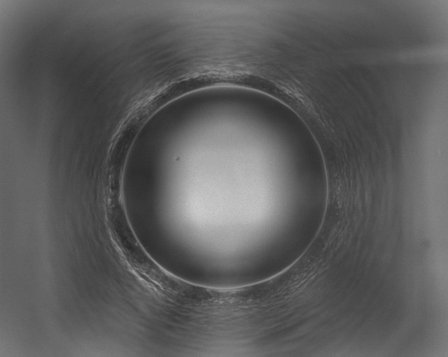 X0000054420736200507291248