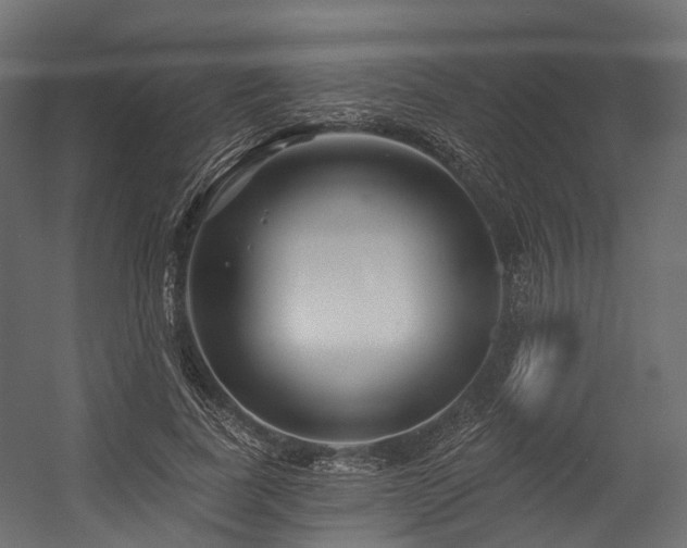 X0000054420739200507291248