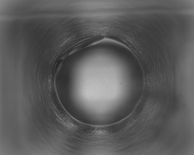 X0000054420741200507291248