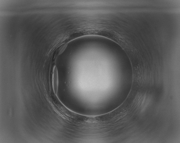 X0000054420742200507291248