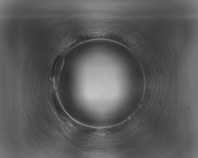 X0000054420743200507291248