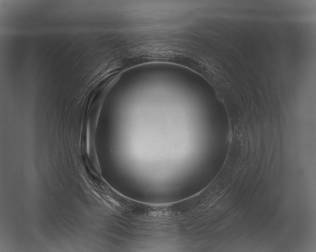 X0000054420744200507291248