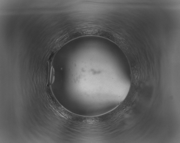 X0000054420745200507291248