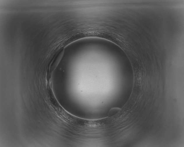 X0000054420746200507291248