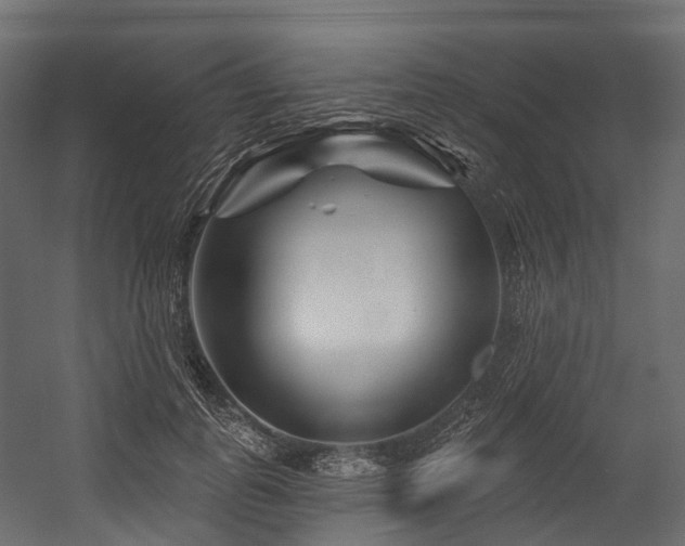 X0000054420747200507291248