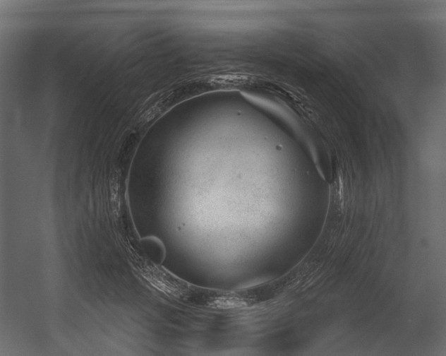 X0000054420749200507291249