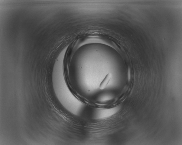 X0000054420750200507291249