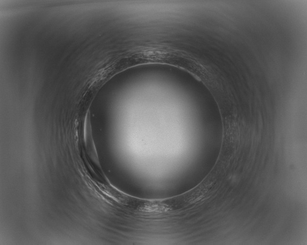 X0000054420752200507291249