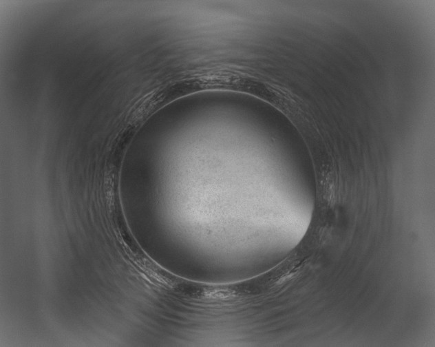 X0000054420753200507291249