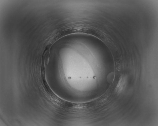 X0000054420754200507291249