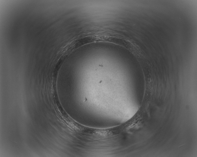 X0000054420757200507291249