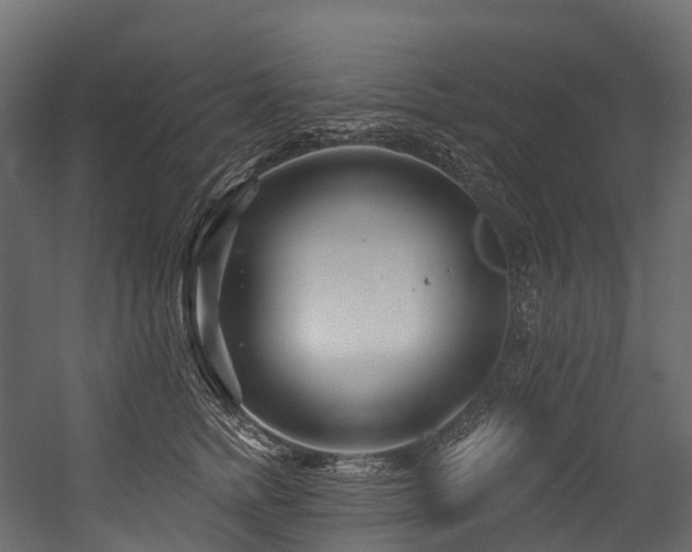 X0000054420758200507291249