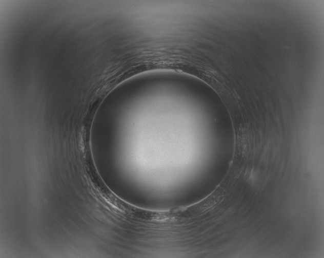 X0000054420760200507291249