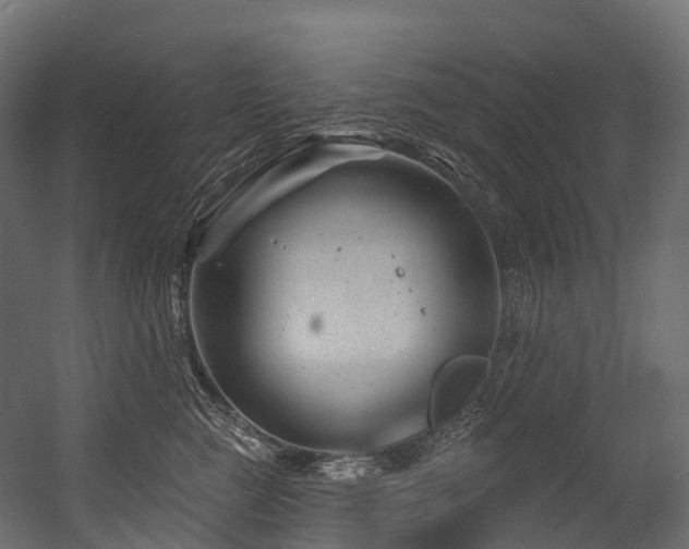 X0000054420761200507291249