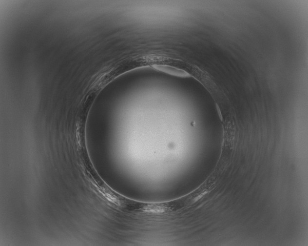 X0000054420762200507291249