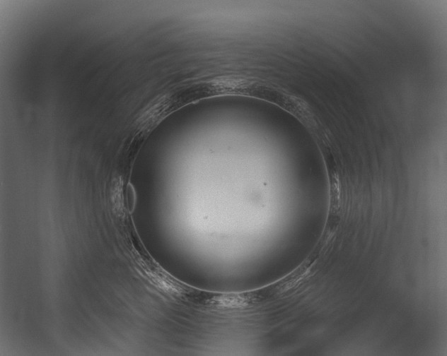 X0000054420765200507291249