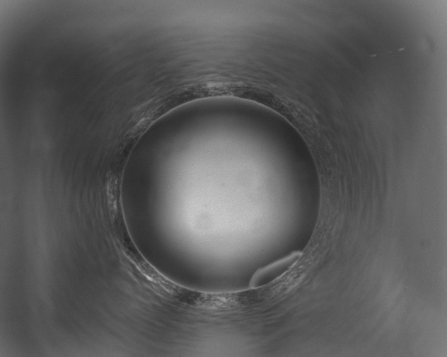 X0000054420768200507291249